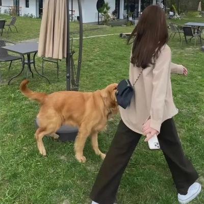 无间道第三季